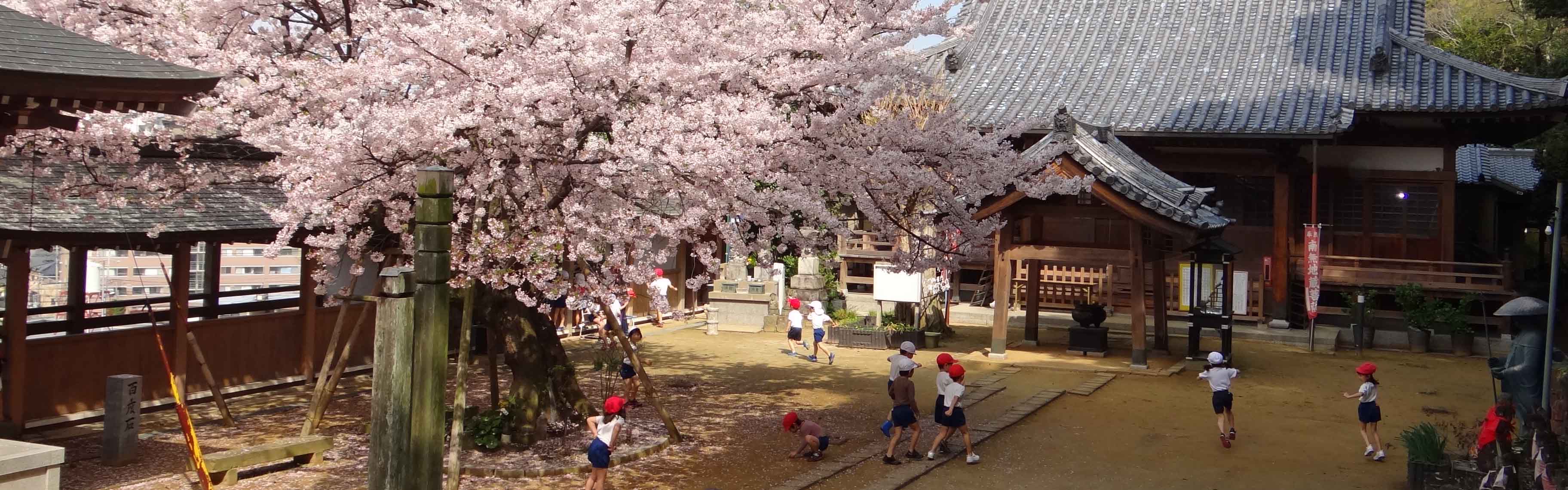 観音寺で遊ぶ子どもたち